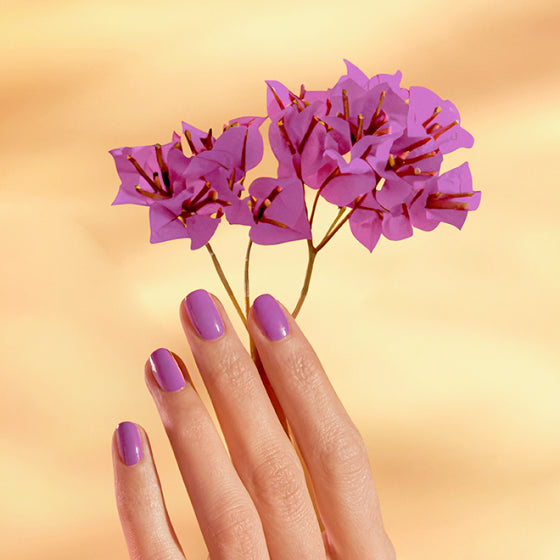 Vernis au silicium Bougainvillier